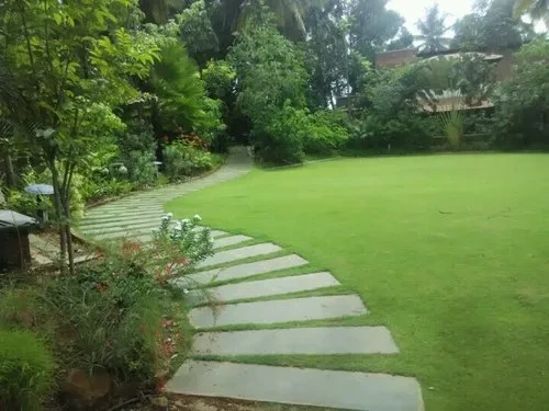 Large scale lawn dibbling Bangalore